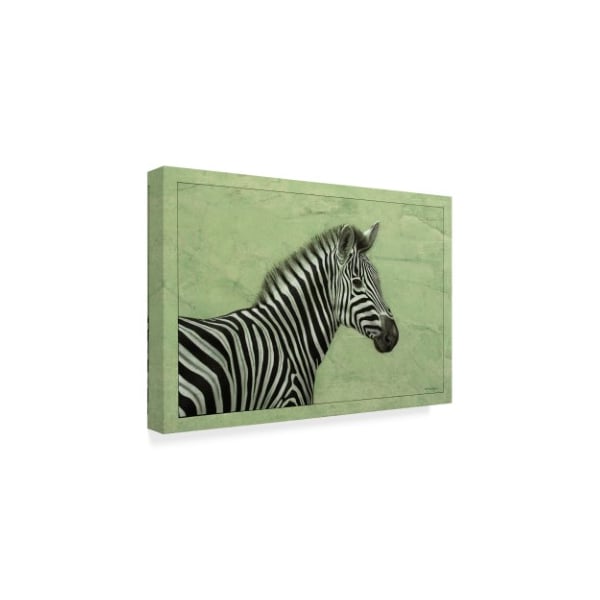 James W. Johnson 'Zebra' Canvas Art,30x47